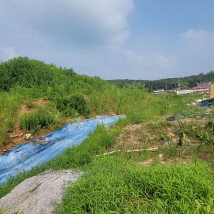 목록5 토지 전경