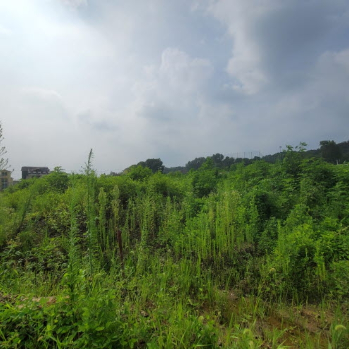 목록1 토지 전경