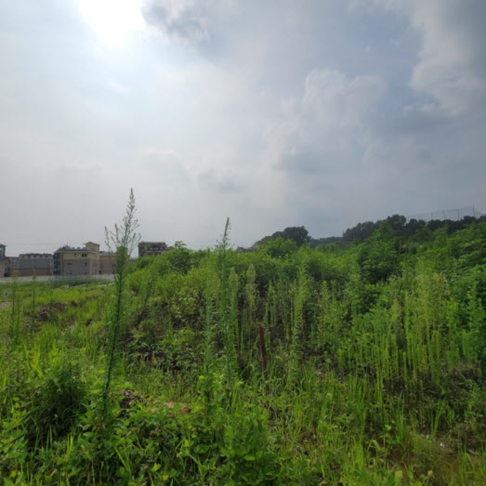 목록1 토지 전경