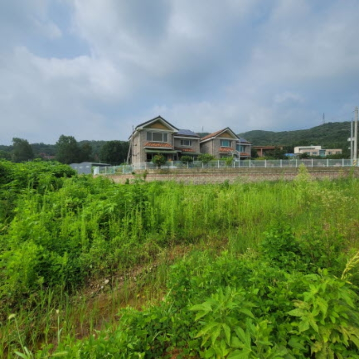 목록1 토지 전경