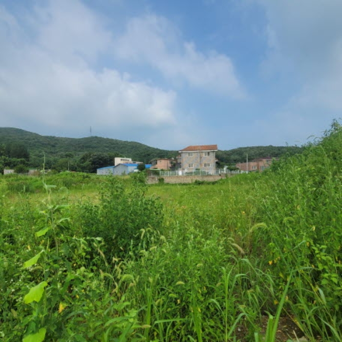 목록4 토지 전경