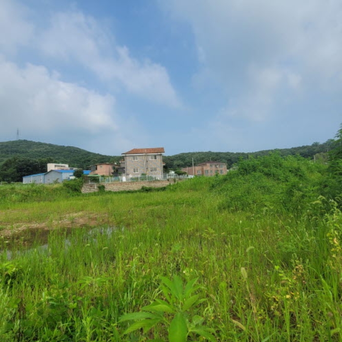 목록4 토지 전경