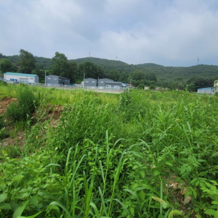 목록4 토지 전경