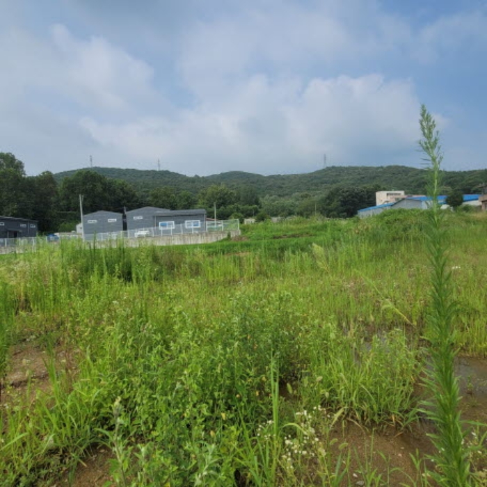 목록2 토지 전경