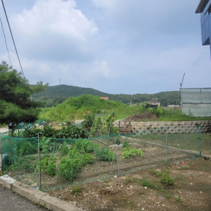 목록3 토지 전경