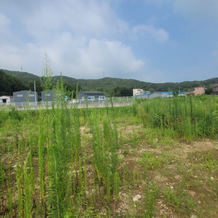 목록2 토지 전경