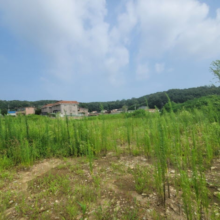 목록2 토지 전경