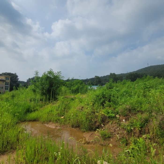 목록6 토지 전경