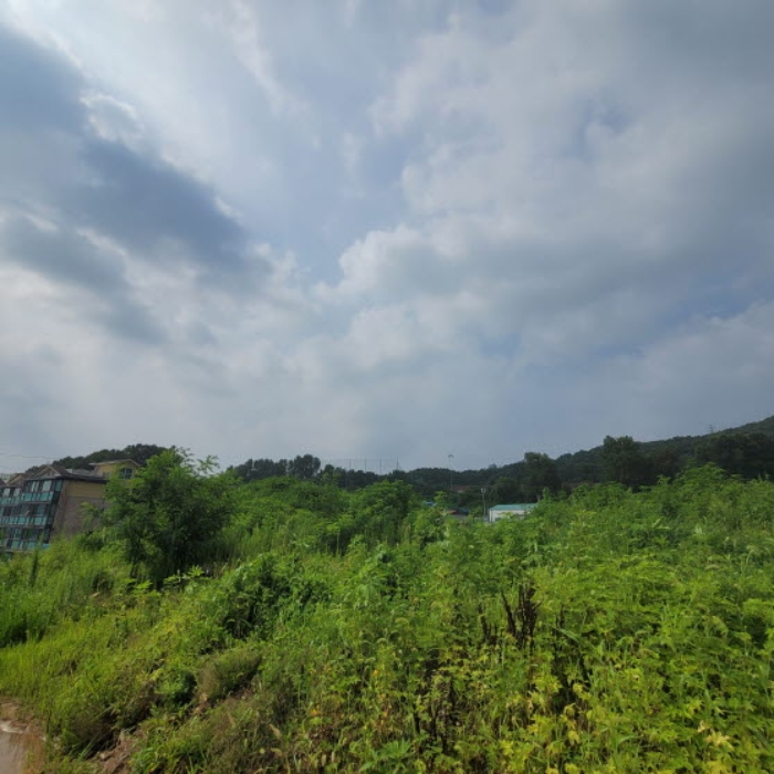 목록6 토지 전경