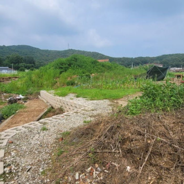 목록5 토지 전경