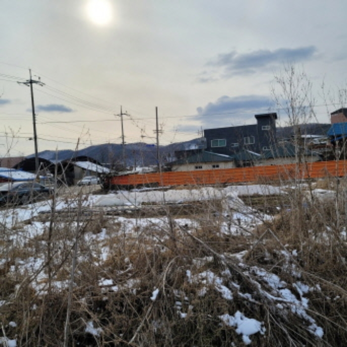 본건 토지 전경