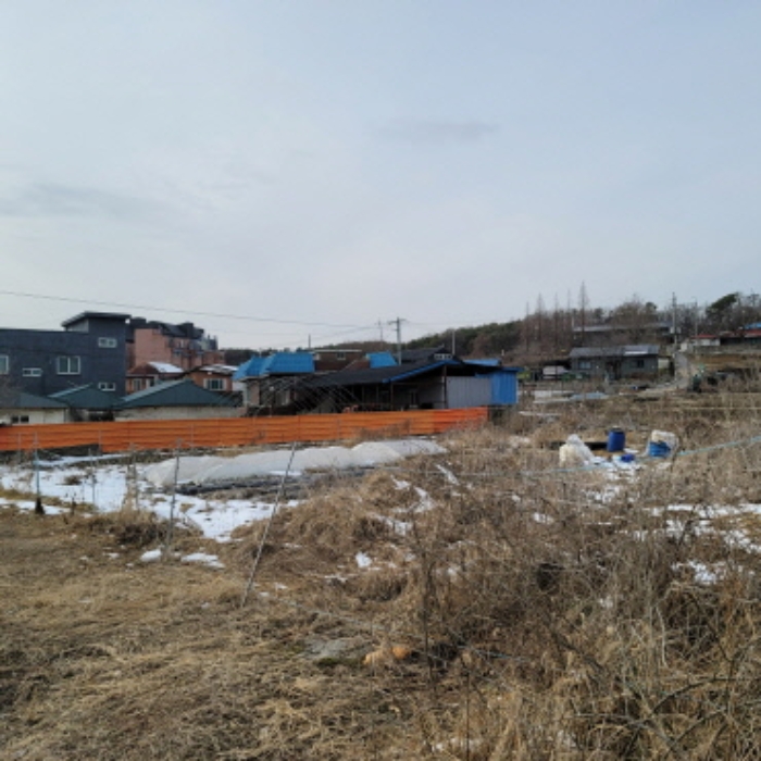 본건 토지 전경