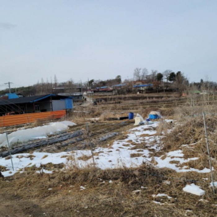 본건 토지 전경