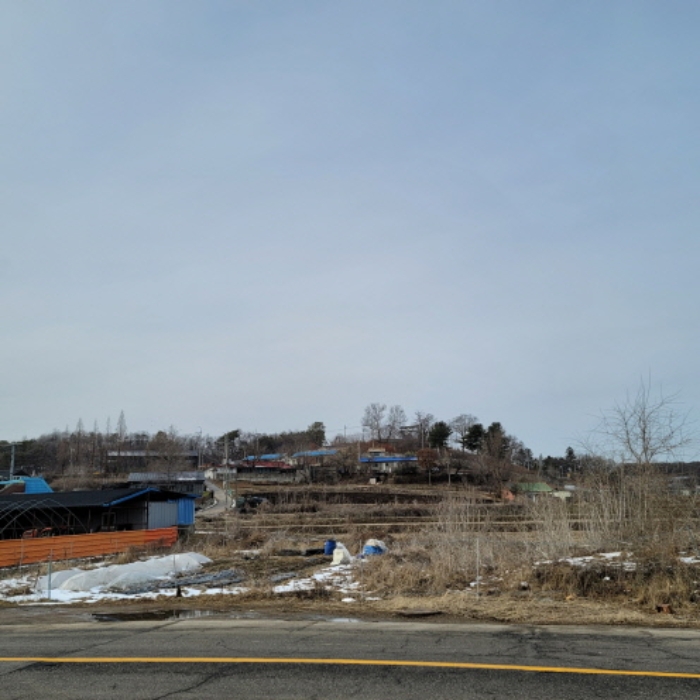 본건 토지 전경