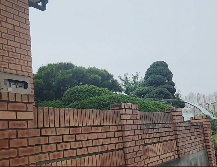 담장 수목 등 