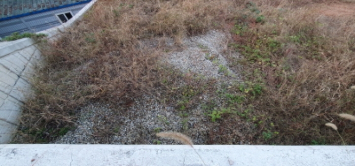 목록11 토지 전경