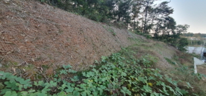 목록12 토지 전경