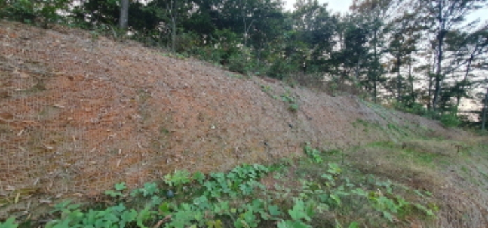 목록12 토지 전경