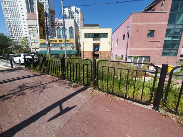 완충녹지 저촉 부분 전경 