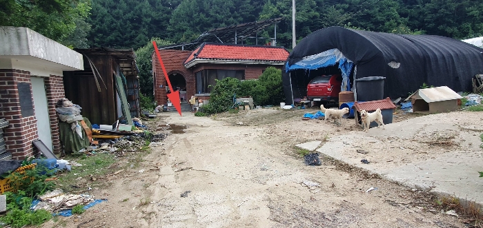 본건전경(기호1