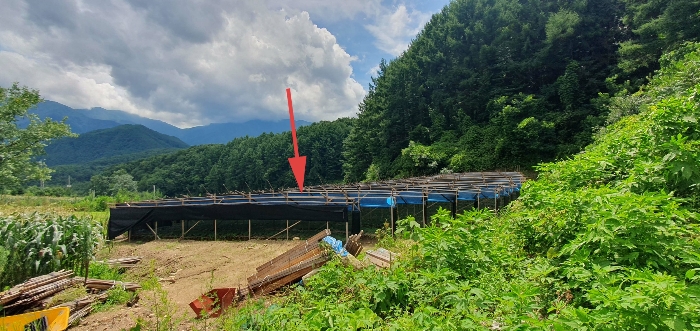 본건전경(기호3