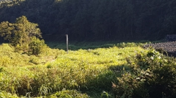 제시부동산 목록