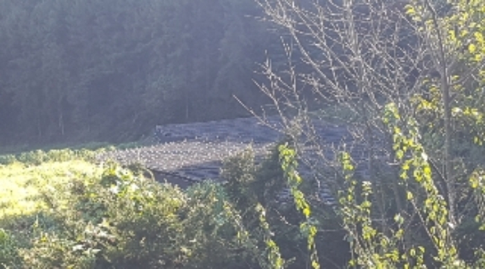 제시부동산 목록