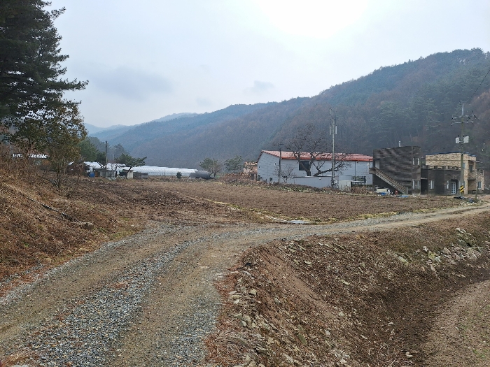 주위환경(근경)