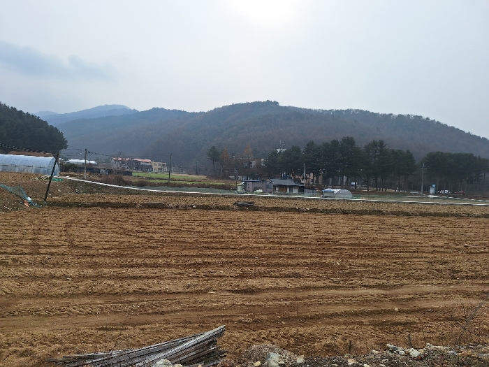 주위환경(원경)