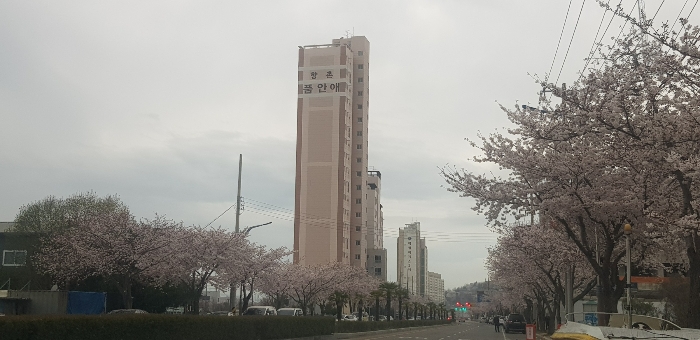 본건 전체 전경