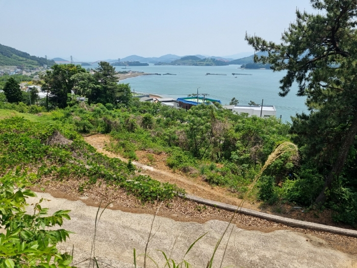 본건 사진(일련번호 2)