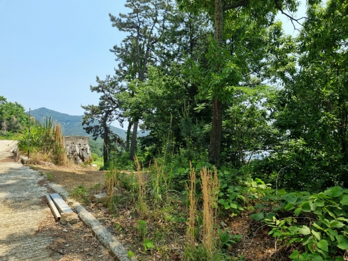 본건 사진(일련번호 3)