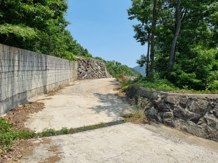 본건 사진(일련번호 1)