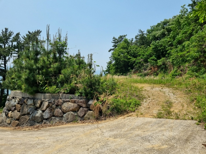 본건 사진(일련번호 1)