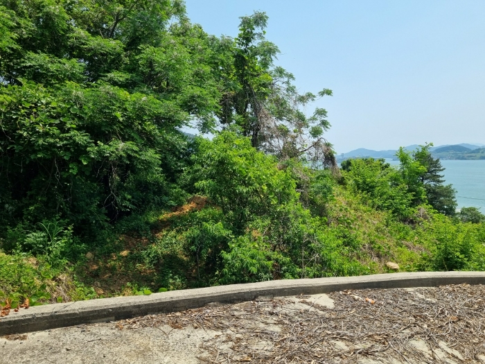 본건 사진(일련번호 1)