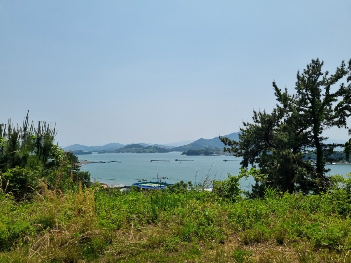 본건 사진(일련번호 2)