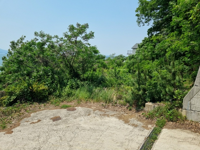 본건 사진(일련번호 3)