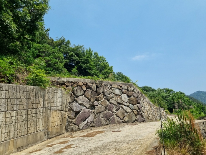 본건 사진(일련번호 1)