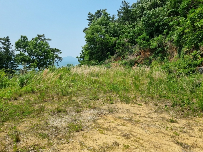 본건 사진(일련번호 1)