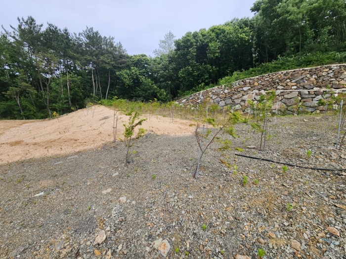 기호(5) 전경사진