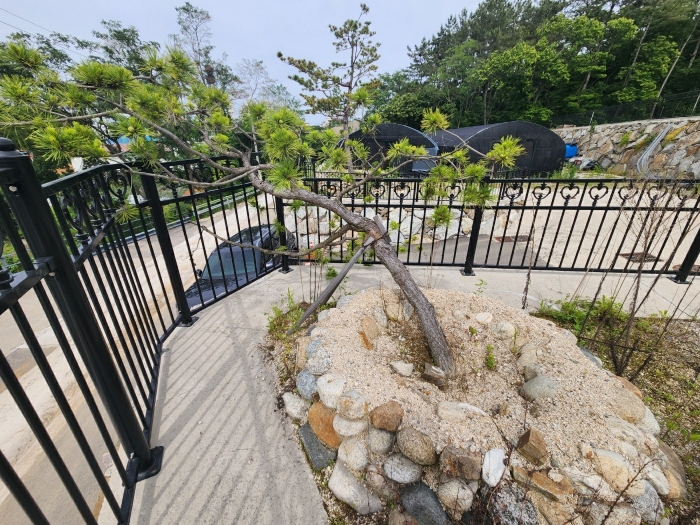 기호(1) 지상 제시외수목