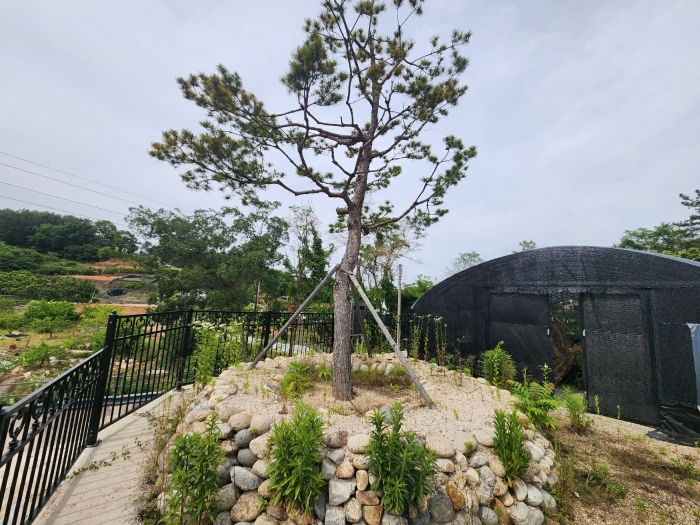 기호(2) 지상 제시외수목