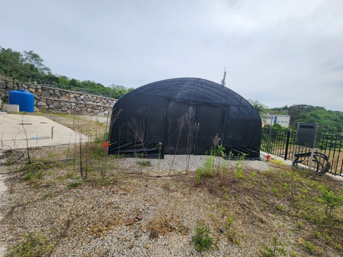 기호(1) 북측 하단부, 비닐하우스