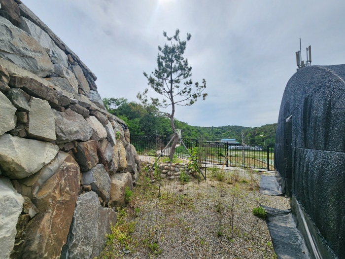 기호(1) 지상 제시외수목