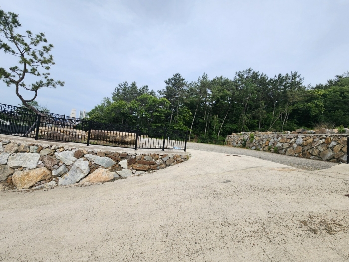 기호(3) 지상 제시외수목