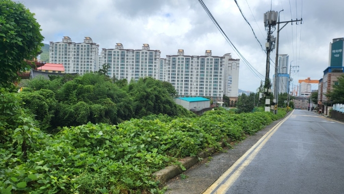 일련번호1)토지 전경