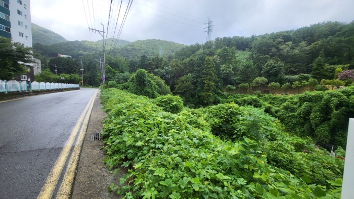 일련번호1),5)토지 전경