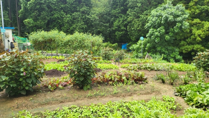 일련번호2),4)토지 전경