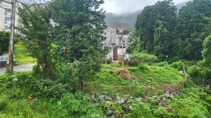 일련번호2),4),7)토지 전경