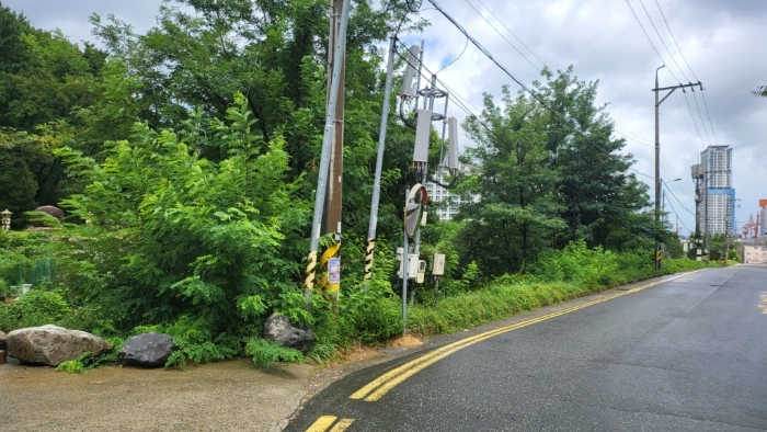 일련번호3)토지 전경